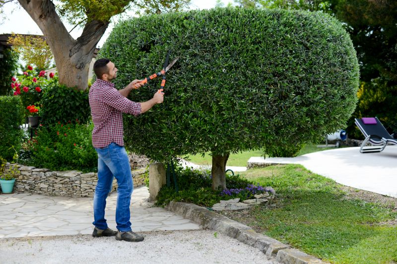 Shrub Shaping in Ventura County, CA