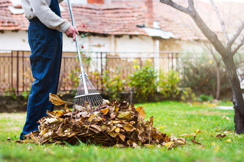 Tools Used for Leaf Collection