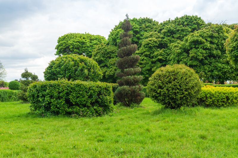 Landscape Pruning Service in Ventura County, CA