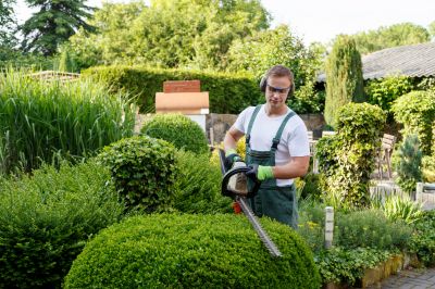 Shrub Trimming in a Garden