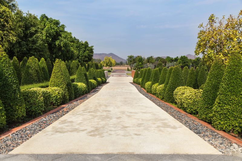 Trimmed Shrubs Line a Pathway