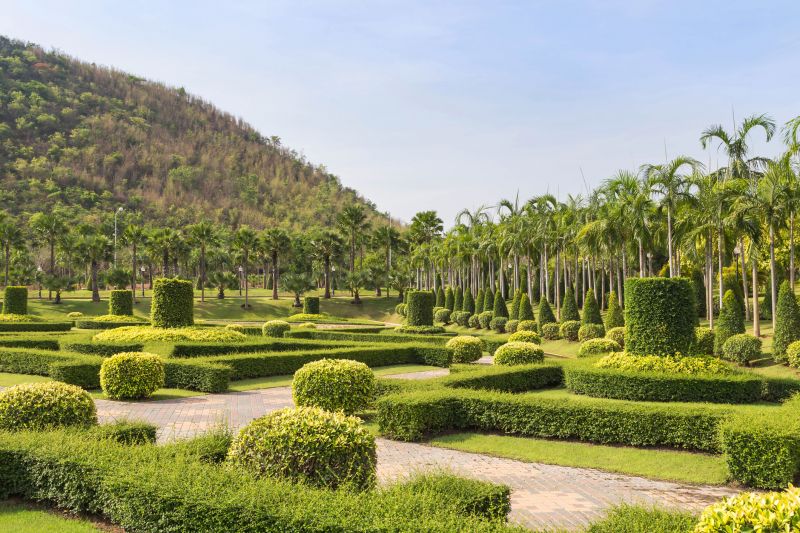 Symmetrically Trimmed Shrubs