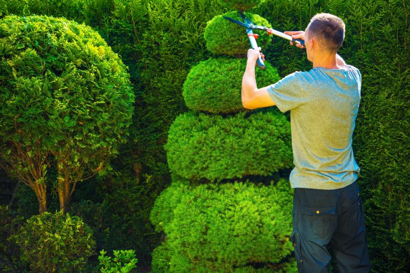 Shrubs with Precise Cuts