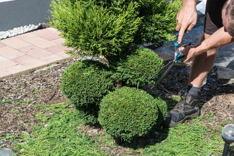 Shrubs Removal in Ventura County, CA
